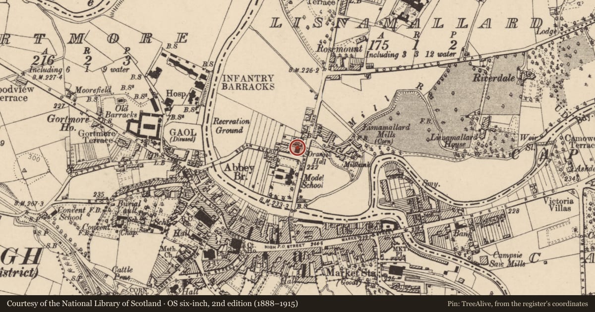 Ordnance Survey six-inch map, 2nd edition (1888–1915) covering the location of Omagh Orange Hall, Lisnamallard, Fermanagh and Omagh, with a pin at the register's coordinates