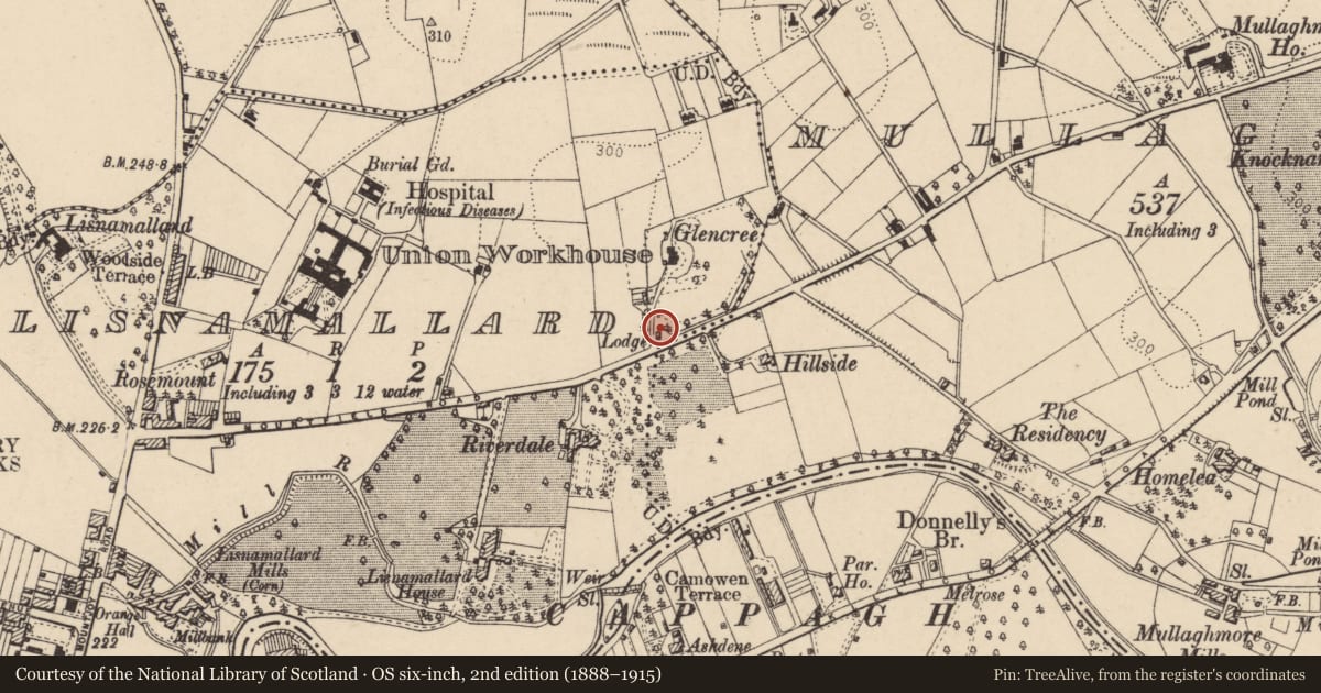 Ordnance Survey six-inch map, 2nd edition (1888–1915) covering the location of The Lodge at Glencree, Lisnamallard, Fermanagh and Omagh, with a pin at the register's coordinates