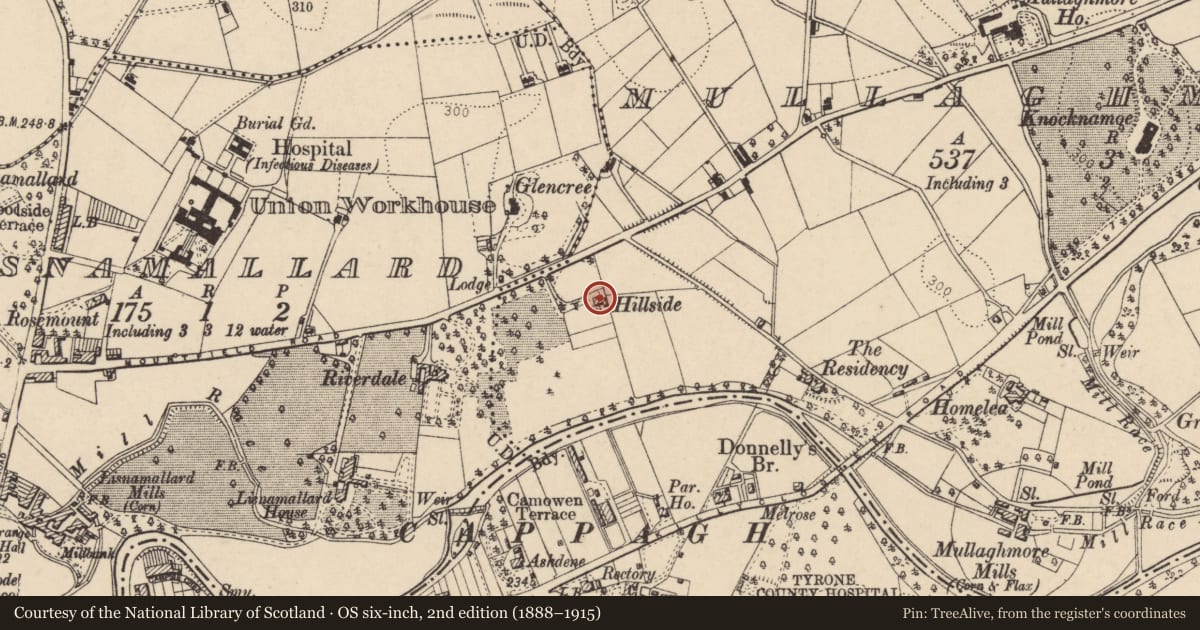 Ordnance Survey six-inch map, 2nd edition (1888–1915) covering the location of Hillside, Fermanagh and Omagh, with a pin at the register's coordinates