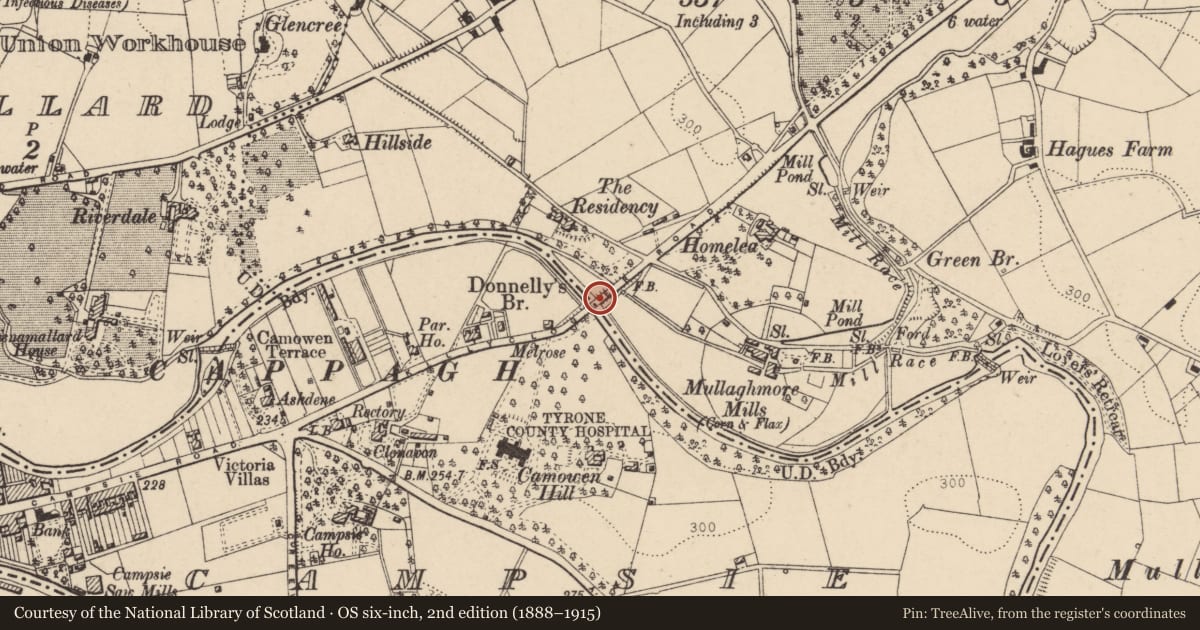 Ordnance Survey six-inch map, 2nd edition (1888–1915) covering the location of Donnelly's Bridge, Fermanagh and Omagh, with a pin at the register's coordinates
