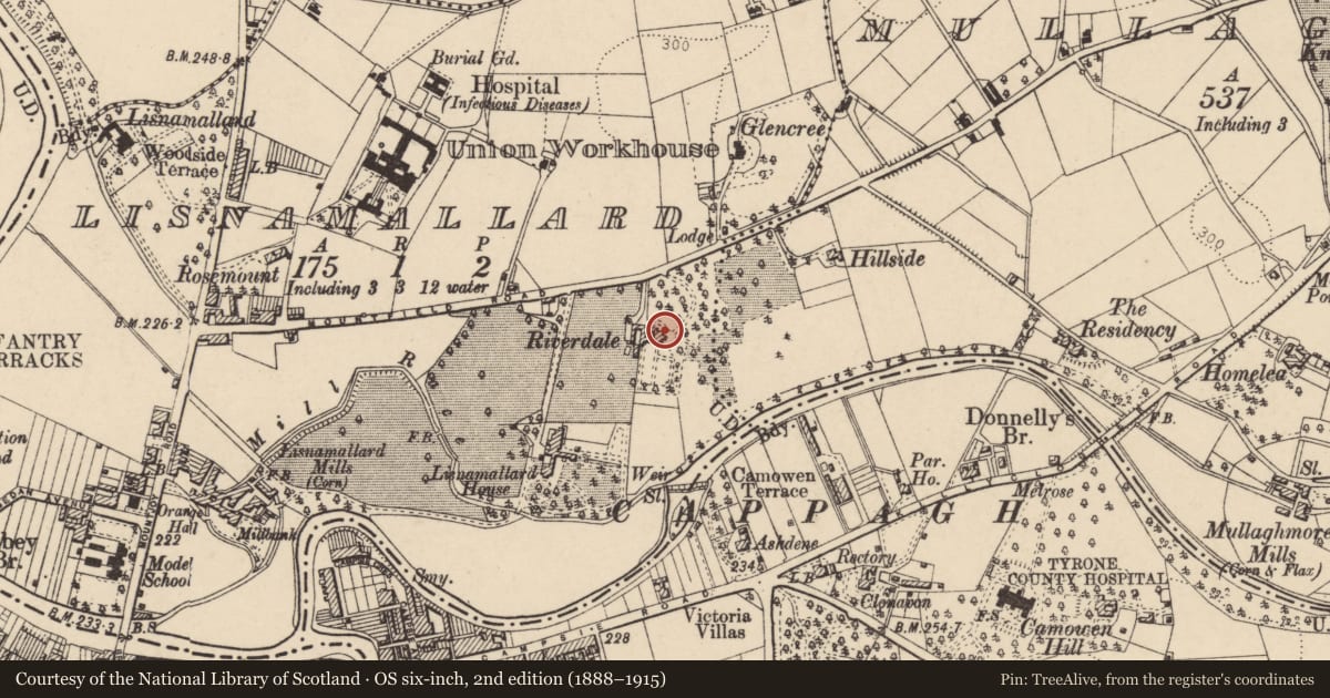 Ordnance Survey six-inch map, 2nd edition (1888–1915) covering the location of 'Arleston', Mullaghmore, Fermanagh and Omagh, with a pin at the register's coordinates