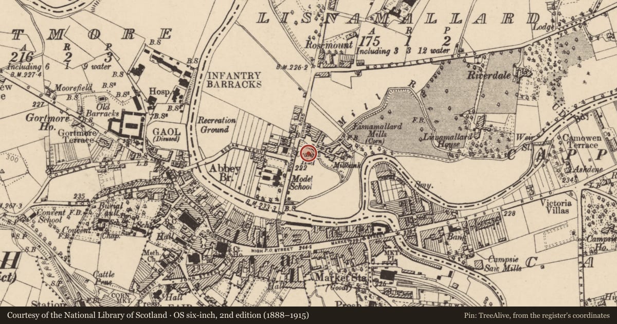 Ordnance Survey six-inch map, 2nd edition (1888–1915) covering the location of Tyrone County Hall, Fermanagh and Omagh, with a pin at the register's coordinates