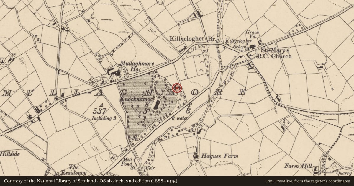 Ordnance Survey six-inch map, 2nd edition (1888–1915) covering the location of 59a Old Mountfield Road, Mullaghmore, Fermanagh and Omagh, with a pin at the register's coordinates