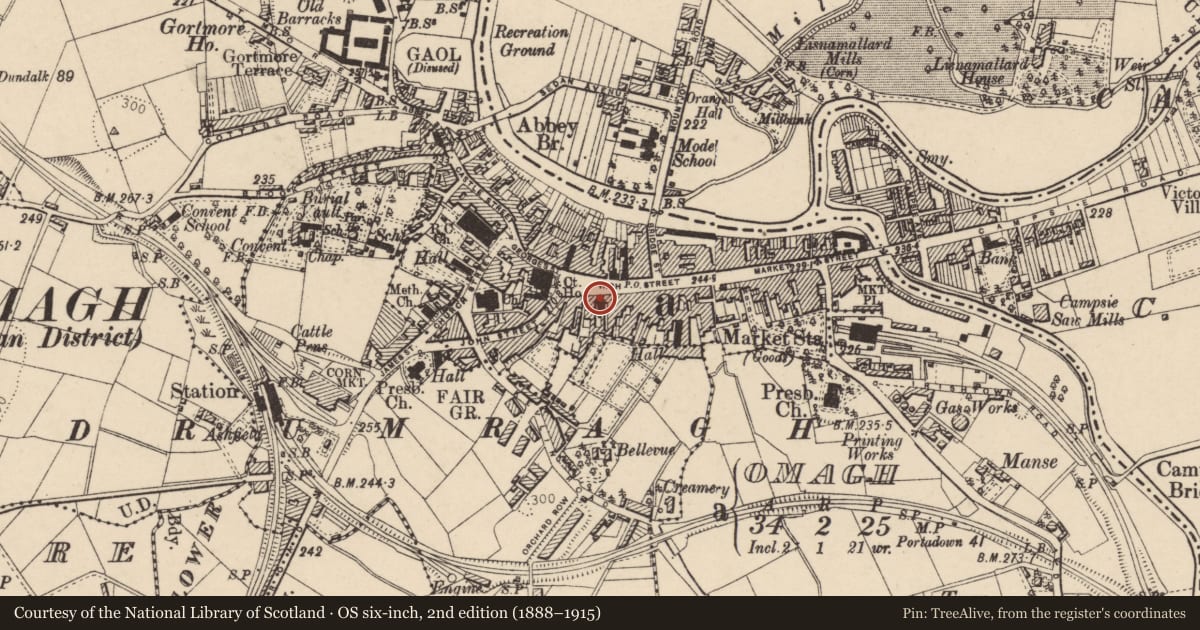Ordnance Survey six-inch map, 2nd edition (1888–1915) covering the location of Provincial House, Omagh, Fermanagh and Omagh, with a pin at the register's coordinates