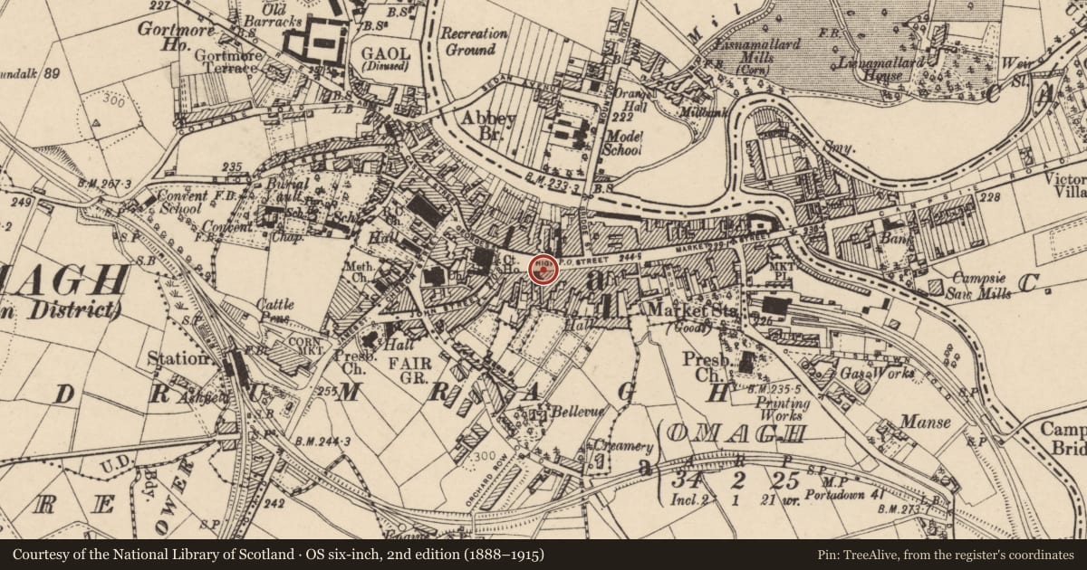 Ordnance Survey six-inch map, 2nd edition (1888–1915) covering the location of No 19 High Street, Fermanagh and Omagh, with a pin at the register's coordinates