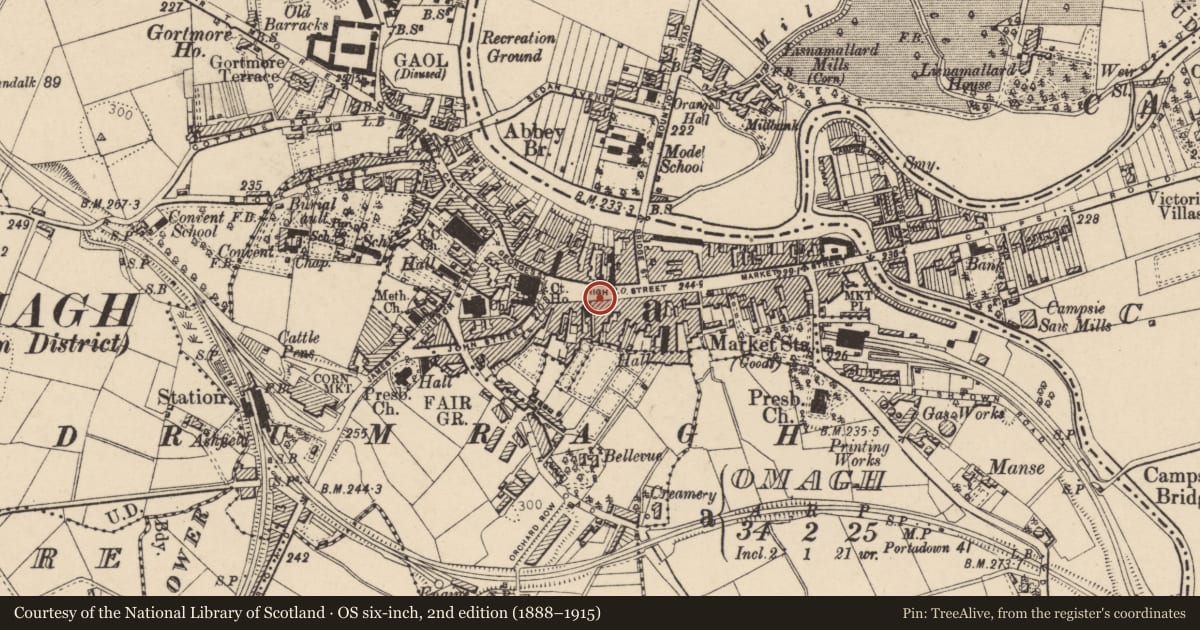 Ordnance Survey six-inch map, 2nd edition (1888–1915) covering the location of William Porter & Son, Omagh, Fermanagh and Omagh, with a pin at the register's coordinates