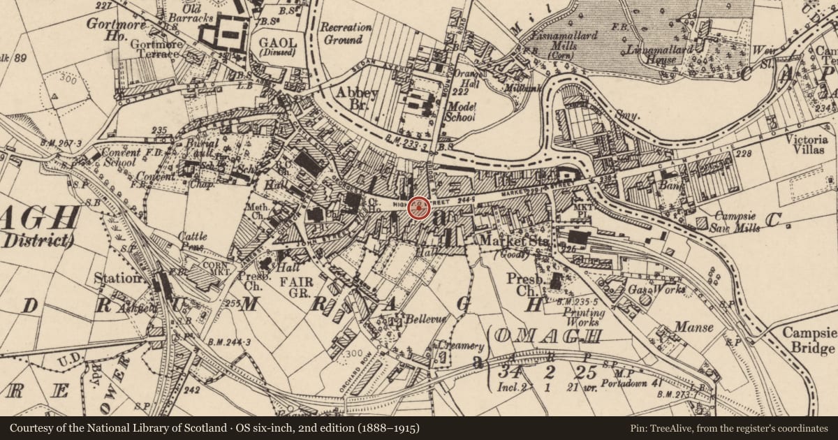 Ordnance Survey six-inch map, 2nd edition (1888–1915) covering the location of No’s 27, 29 & 31 High Street, Fermanagh and Omagh, with a pin at the register's coordinates