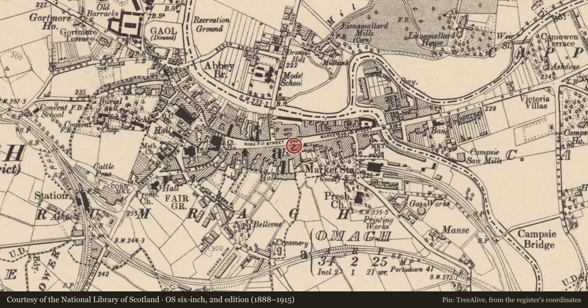 Ordnance Survey six-inch map, 2nd edition (1888–1915) covering the location of Abbey, Omagh, Fermanagh and Omagh, with a pin at the register's coordinates