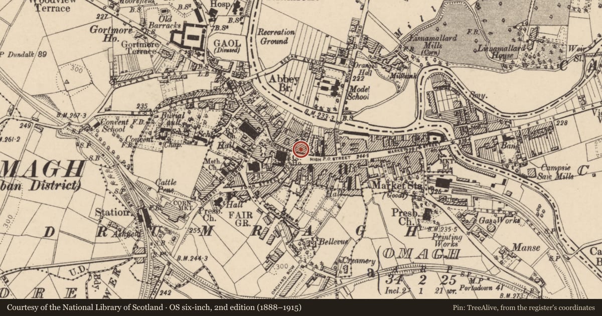 Ordnance Survey six-inch map, 2nd edition (1888–1915) covering the location of First Trust Bank, Omagh, Fermanagh and Omagh, with a pin at the register's coordinates