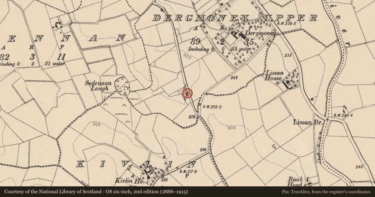 Ordnance Survey six-inch map, 2nd edition (1888–1915) covering the location of Kevlin Road, Fermanagh and Omagh, with a pin at the register's coordinates