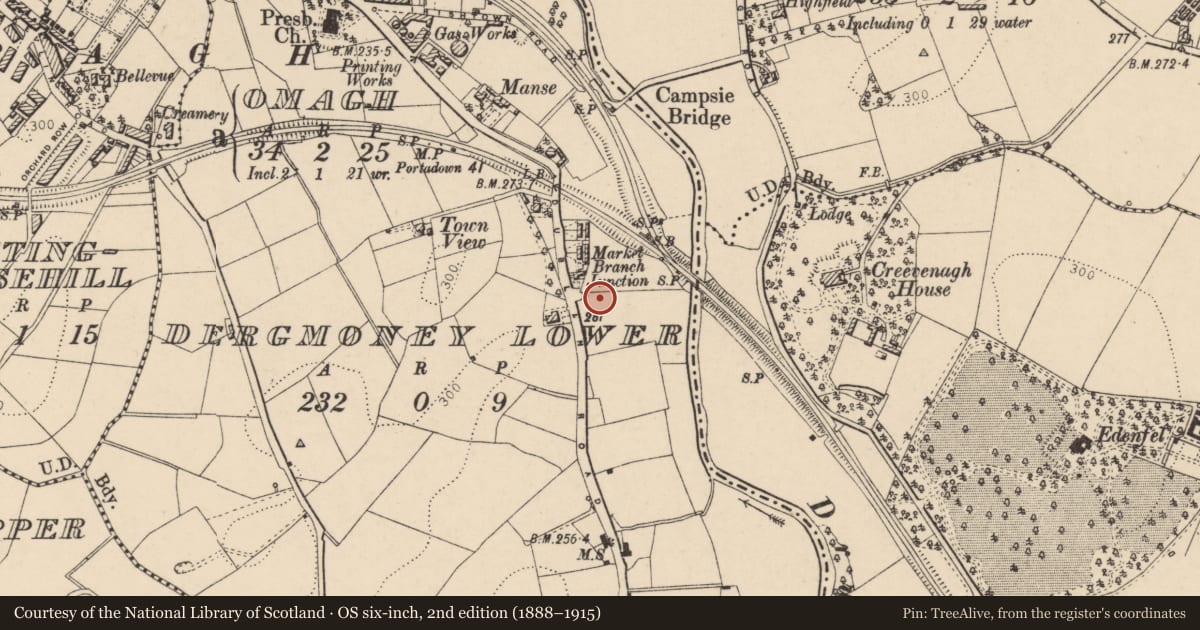Ordnance Survey six-inch map, 2nd edition (1888–1915) covering the location of No 9, Dergmoney Place, Fermanagh and Omagh, with a pin at the register's coordinates