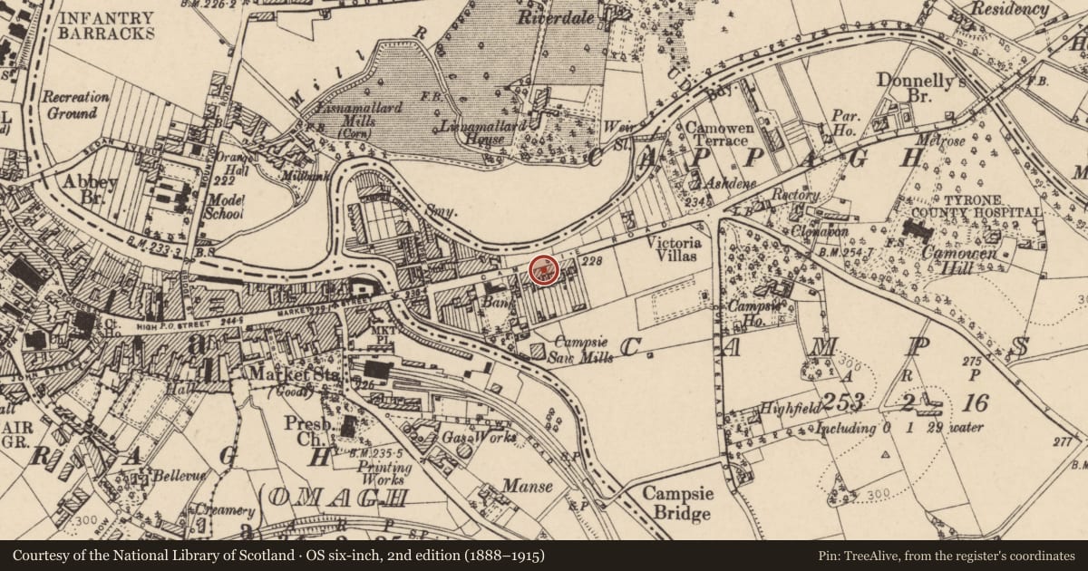 Ordnance Survey six-inch map, 2nd edition (1888–1915) covering the location of Nos 13, 1-12 Holmview Terrace, Fermanagh and Omagh, with a pin at the register's coordinates
