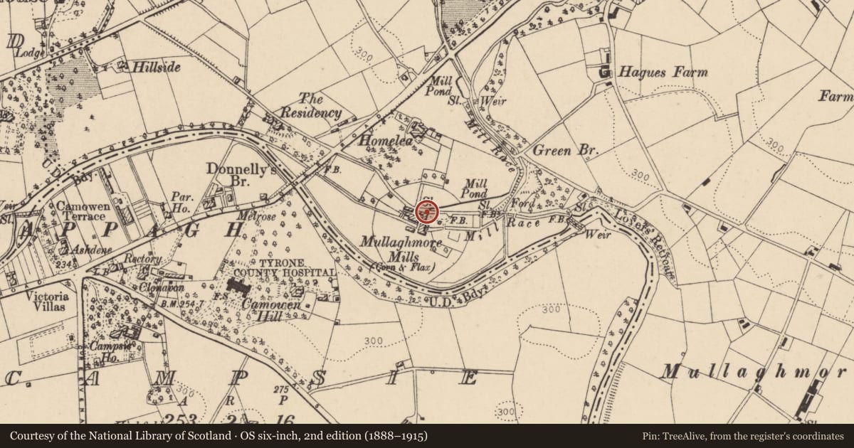 Ordnance Survey six-inch map, 2nd edition (1888–1915) covering the location of Old Mill House, Mullaghmore, Fermanagh and Omagh, with a pin at the register's coordinates