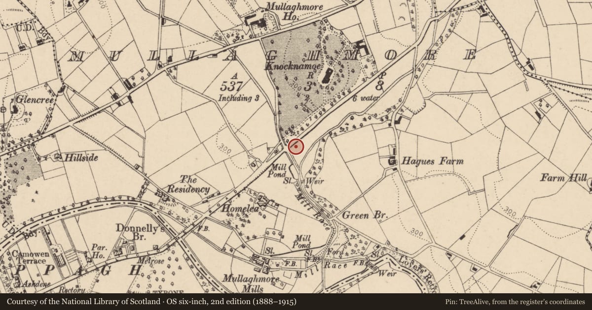 Ordnance Survey six-inch map, 2nd edition (1888–1915) covering the location of House, Fermanagh and Omagh, with a pin at the register's coordinates