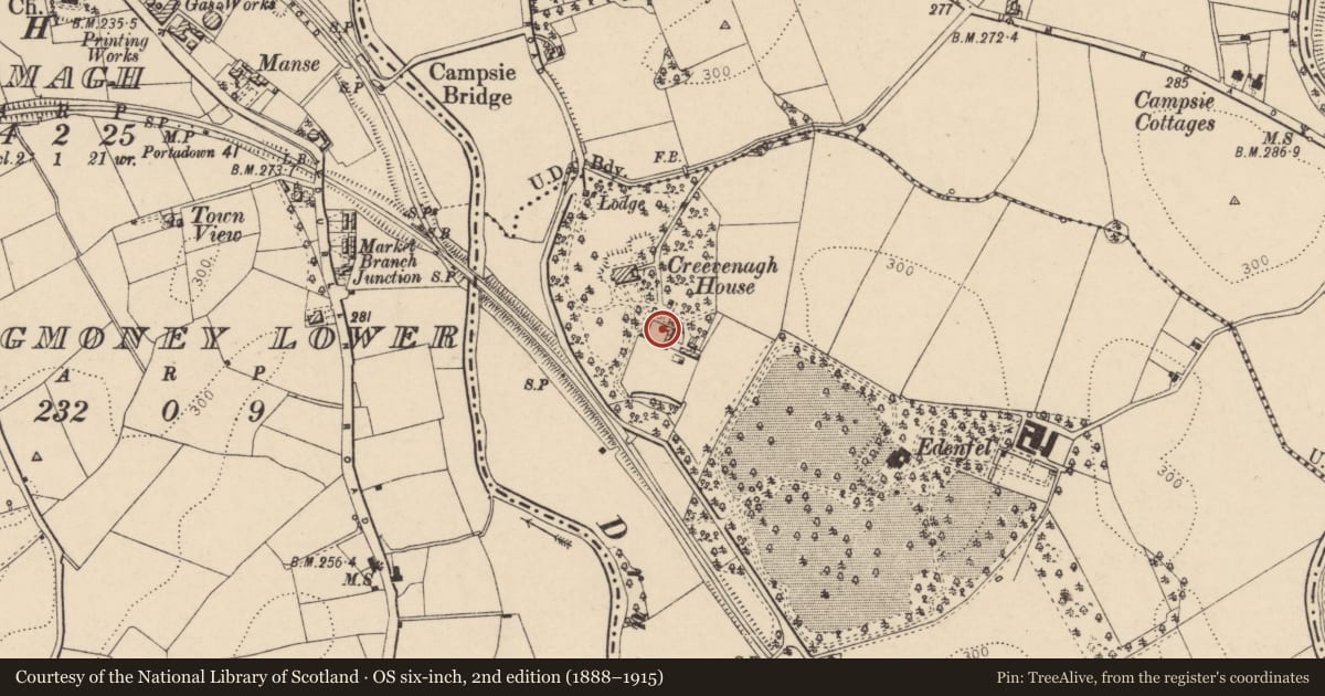 Ordnance Survey six-inch map, 2nd edition (1888–1915) covering the location of Farmyard, Creevenagh, Fermanagh and Omagh, with a pin at the register's coordinates