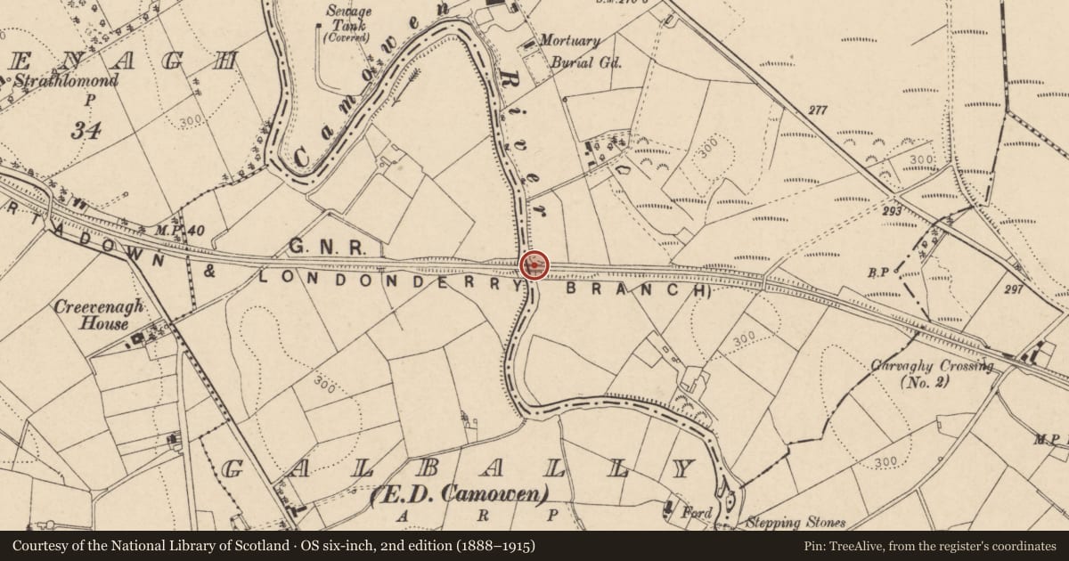 Ordnance Survey six-inch map, 2nd edition (1888–1915) covering the location of Railway Bridge, Cranny/Galbally, Fermanagh and Omagh, with a pin at the register's coordinates