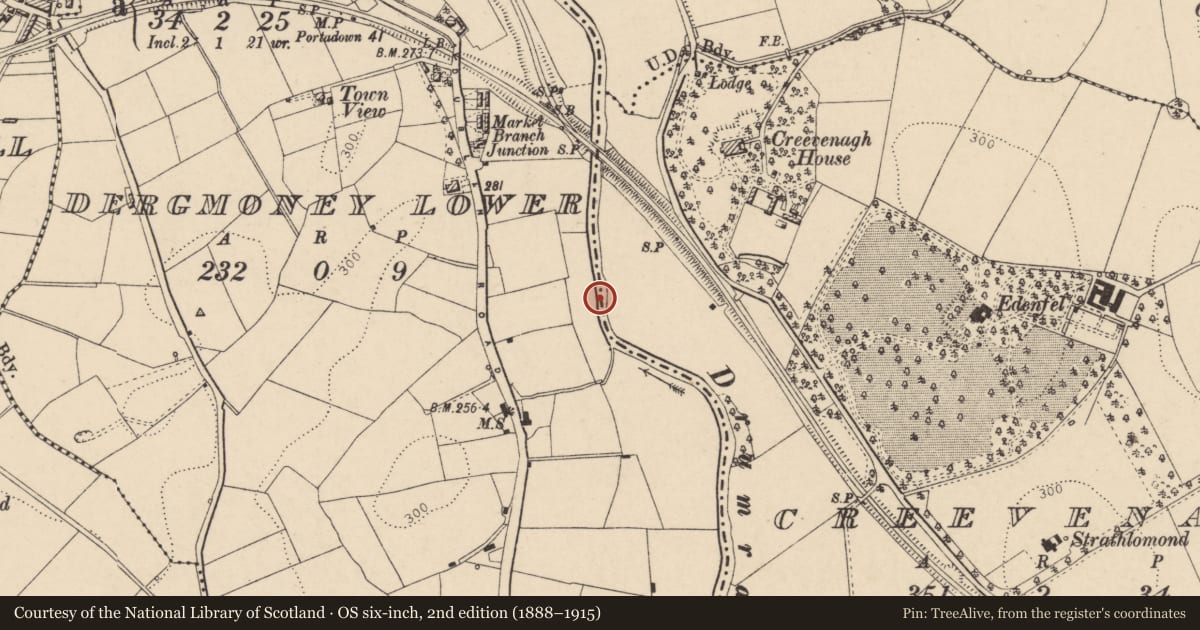 Ordnance Survey six-inch map, 2nd edition (1888–1915) covering the location of Bridge, Fermanagh and Omagh, with a pin at the register's coordinates