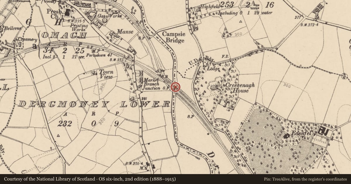 Ordnance Survey six-inch map, 2nd edition (1888–1915) covering the location of Bridge, Fermanagh and Omagh, with a pin at the register's coordinates