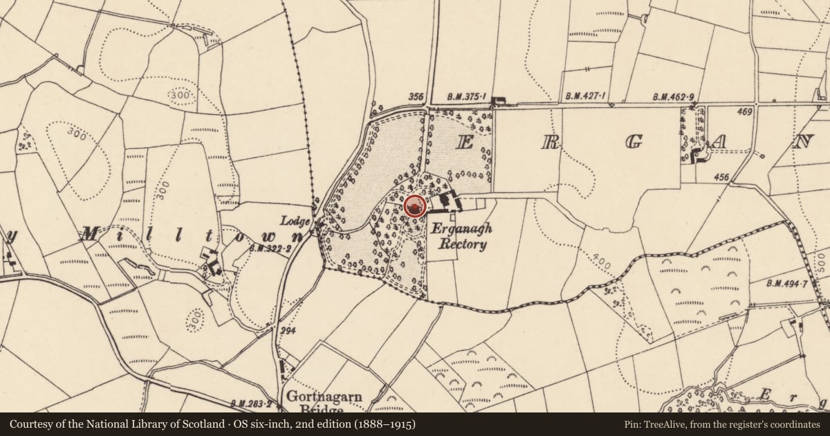 Ordnance Survey six-inch map, 2nd edition (1888–1915) covering the location of Erganagh Rectory, Erganagh Glebe, Fermanagh and Omagh, with a pin at the register's coordinates