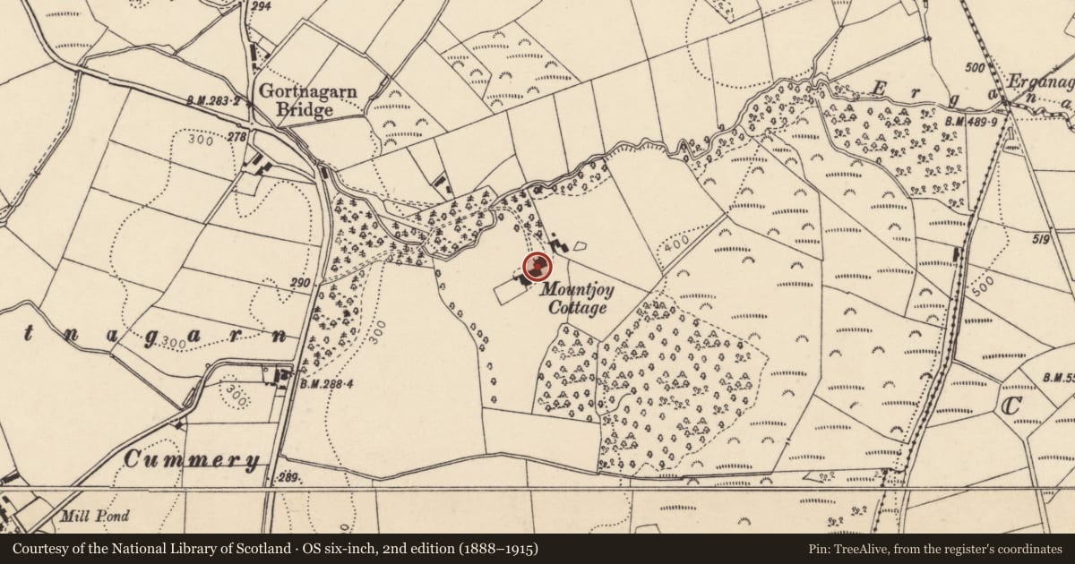 Ordnance Survey six-inch map, 2nd edition (1888–1915) covering the location of Old Mountjoy, Mountjoy Forest East Division, Fermanagh and Omagh, with a pin at the register's coordinates