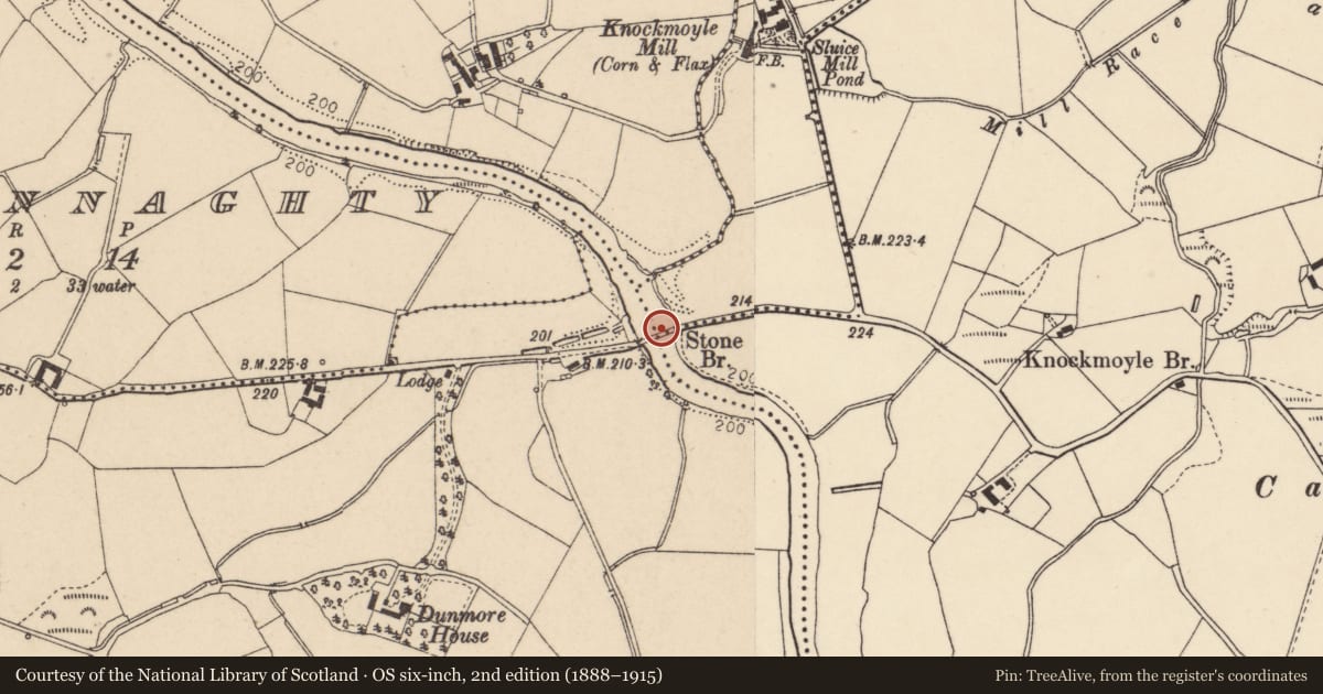 Ordnance Survey six-inch map, 2nd edition (1888–1915) covering the location of Stone Bridge, Mountjoy Forest West Division/Knockmoyle, Fermanagh and Omagh, with a pin at the register's coordinates