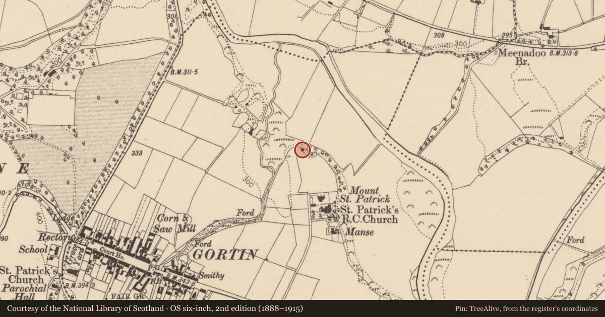 Ordnance Survey six-inch map, 2nd edition (1888–1915) covering the location of St Patrick’s Graveyard, Gortin, Fermanagh and Omagh, with a pin at the register's coordinates