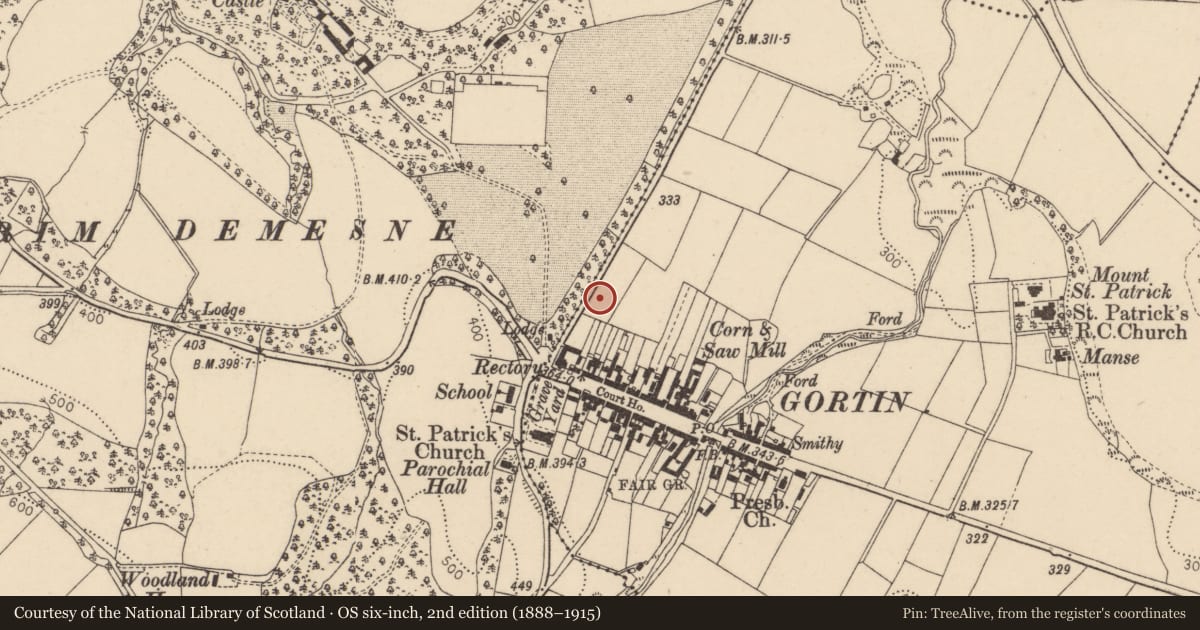 Ordnance Survey six-inch map, 2nd edition (1888–1915) covering the location of Masonic Lodge, Gortin, Fermanagh and Omagh, with a pin at the register's coordinates