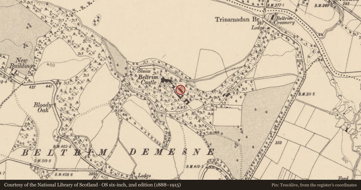 Ordnance Survey six-inch map, 2nd edition (1888–1915) covering the location of Lodge (at Beltrim Castle), Fermanagh and Omagh, with a pin at the register's coordinates
