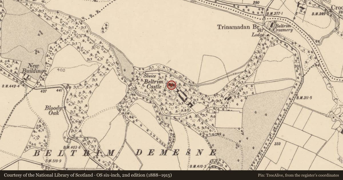 Ordnance Survey six-inch map, 2nd edition (1888–1915) covering the location of Beltrim Castle, Gortin, Fermanagh and Omagh, with a pin at the register's coordinates