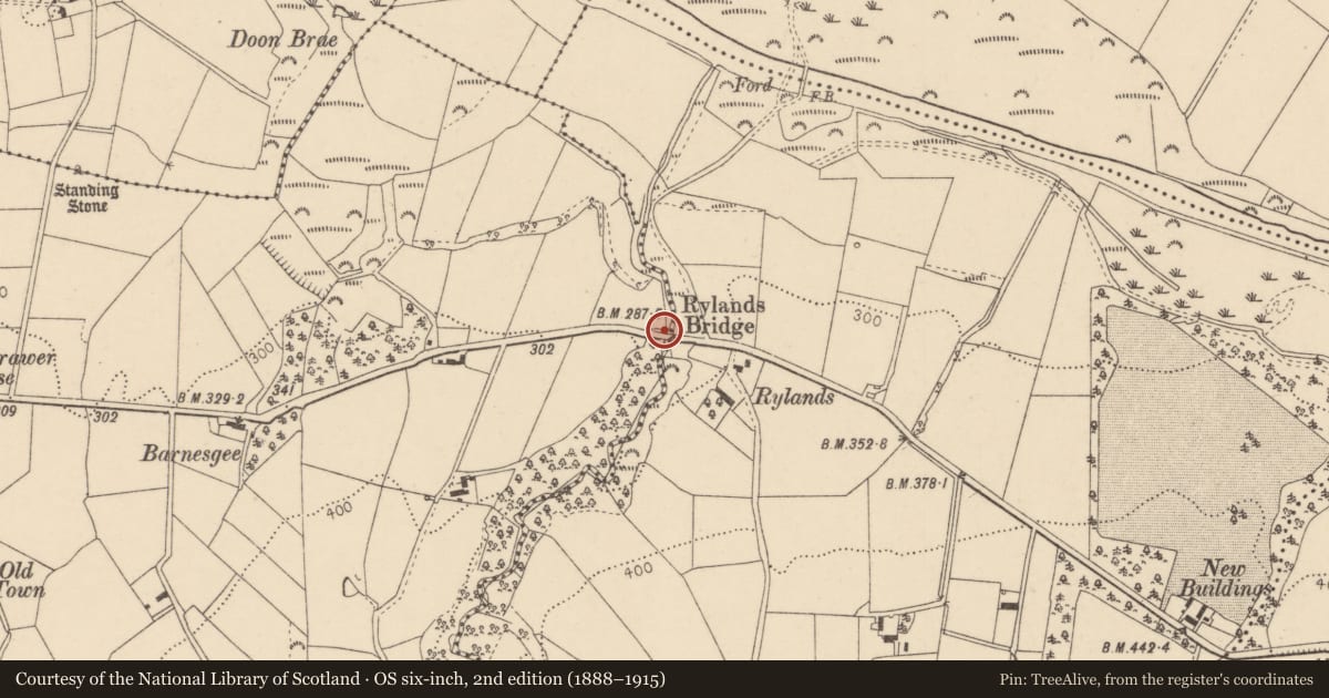 Ordnance Survey six-inch map, 2nd edition (1888–1915) covering the location of Rylands Bridge, Fermanagh and Omagh, with a pin at the register's coordinates