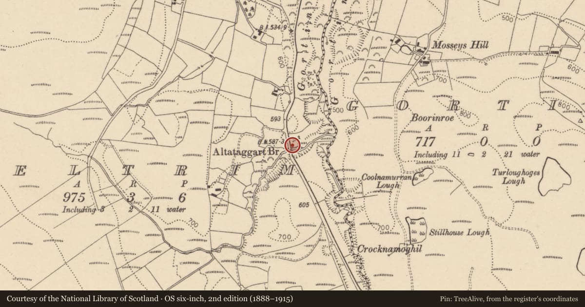 Ordnance Survey six-inch map, 2nd edition (1888–1915) covering the location of Altataggart Bridge, Fermanagh and Omagh, with a pin at the register's coordinates
