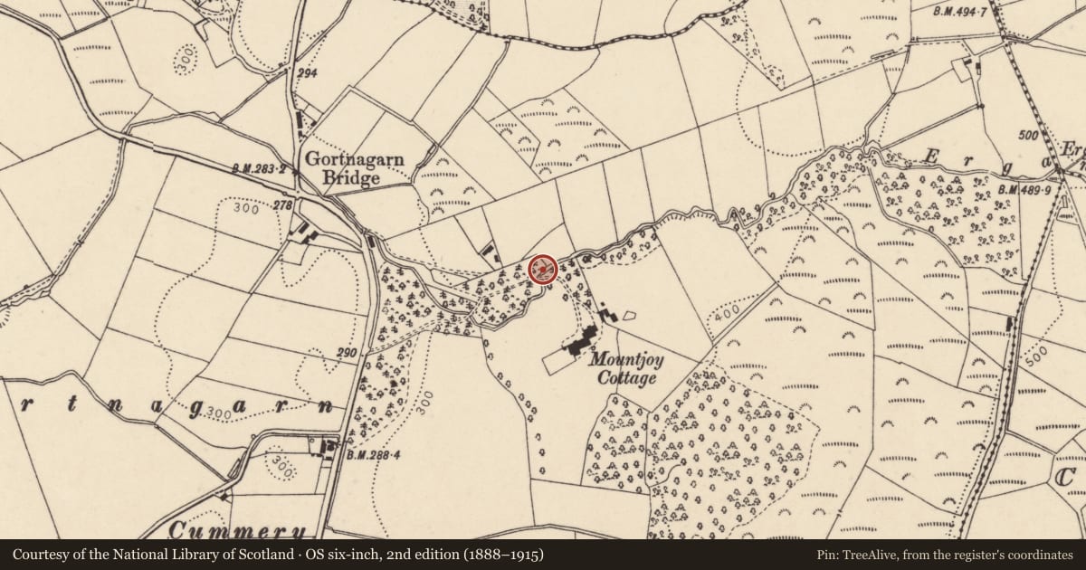Ordnance Survey six-inch map, 2nd edition (1888–1915) covering the location of Bridge, Fermanagh and Omagh, with a pin at the register's coordinates