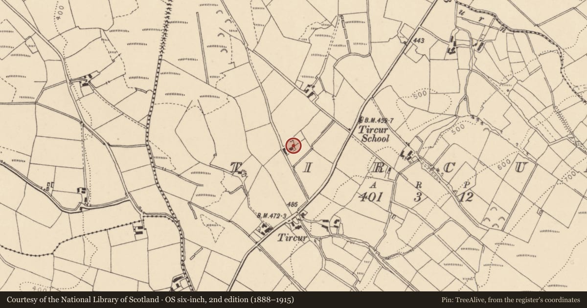 Ordnance Survey six-inch map, 2nd edition (1888–1915) covering the location of 96 Glenpark Road, Fermanagh and Omagh, with a pin at the register's coordinates