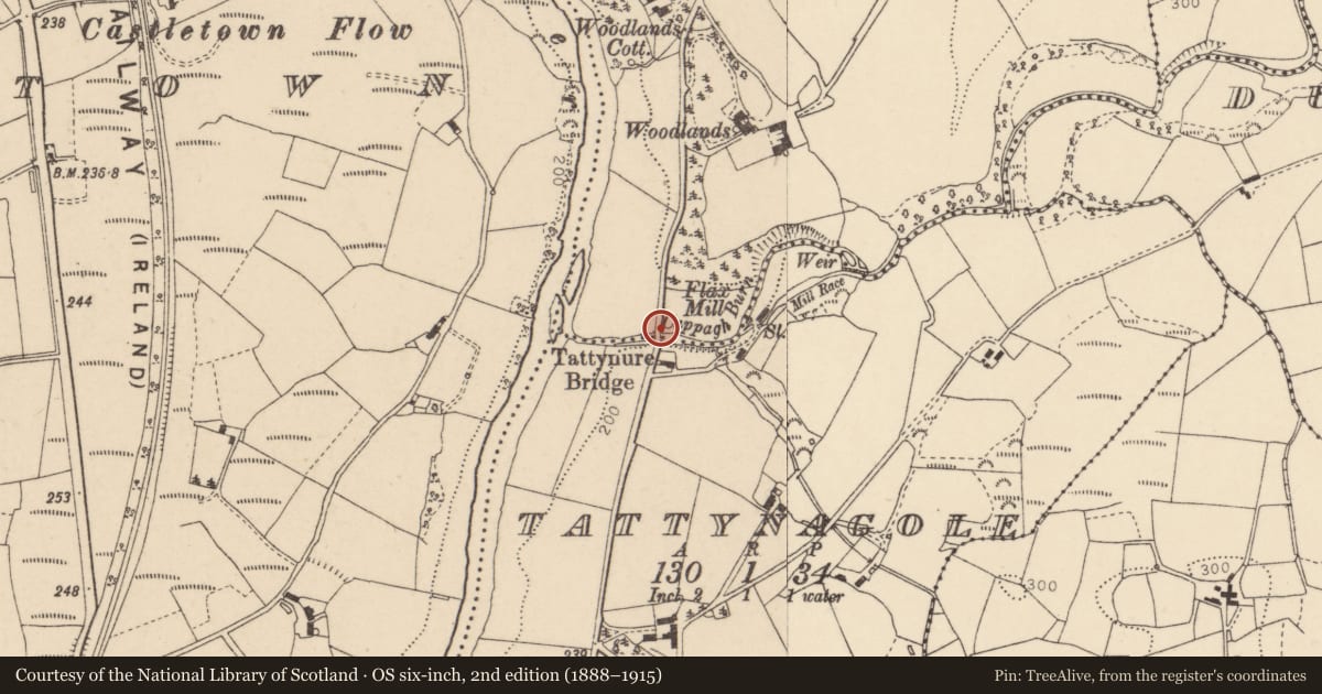 Ordnance Survey six-inch map, 2nd edition (1888–1915) covering the location of Tattynure Bridge, Fermanagh and Omagh, with a pin at the register's coordinates