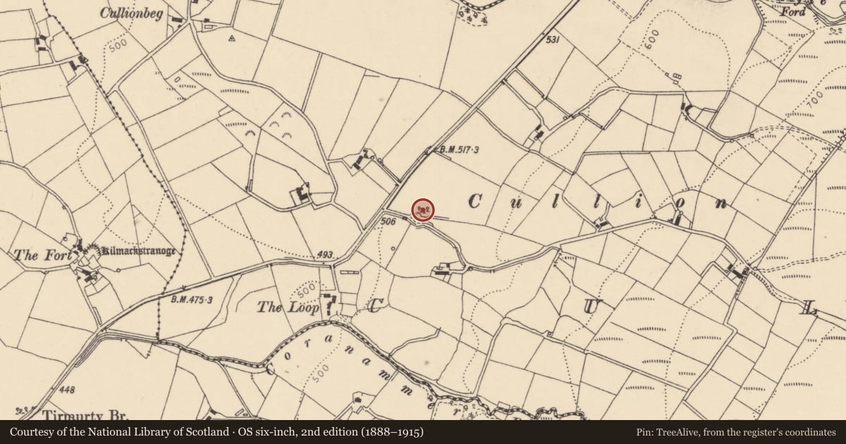 Ordnance Survey six-inch map, 2nd edition (1888–1915) covering the location of Kiln, Tirmurty, Fermanagh and Omagh, with a pin at the register's coordinates