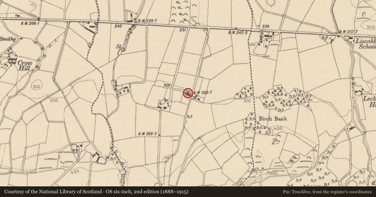 Ordnance Survey six-inch map, 2nd edition (1888–1915) covering the location of 27 Killymore Road, Woodbrook, Fermanagh and Omagh, with a pin at the register's coordinates