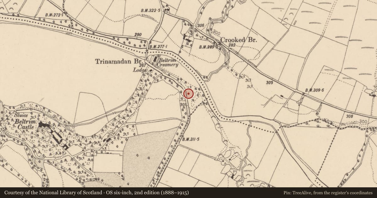 Ordnance Survey six-inch map, 2nd edition (1888–1915) covering the location of 25 Culvacullion Road, Beltrim, Fermanagh and Omagh, with a pin at the register's coordinates