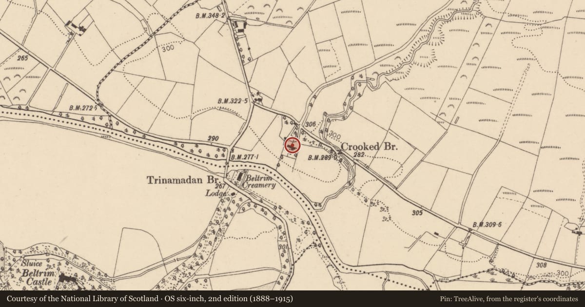 Ordnance Survey six-inch map, 2nd edition (1888–1915) covering the location of 5 Gorticashel Road, Trinamadan, Fermanagh and Omagh, with a pin at the register's coordinates
