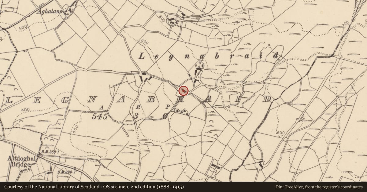 Ordnance Survey six-inch map, 2nd edition (1888–1915) covering the location of Legnabraid Road, Fermanagh and Omagh, with a pin at the register's coordinates