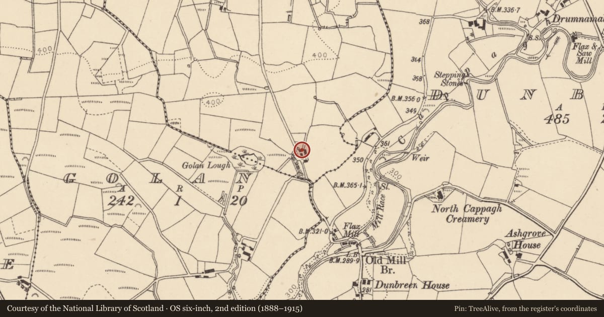 Ordnance Survey six-inch map, 2nd edition (1888–1915) covering the location of Dunmullan Road, Reaghan, Fermanagh and Omagh, with a pin at the register's coordinates
