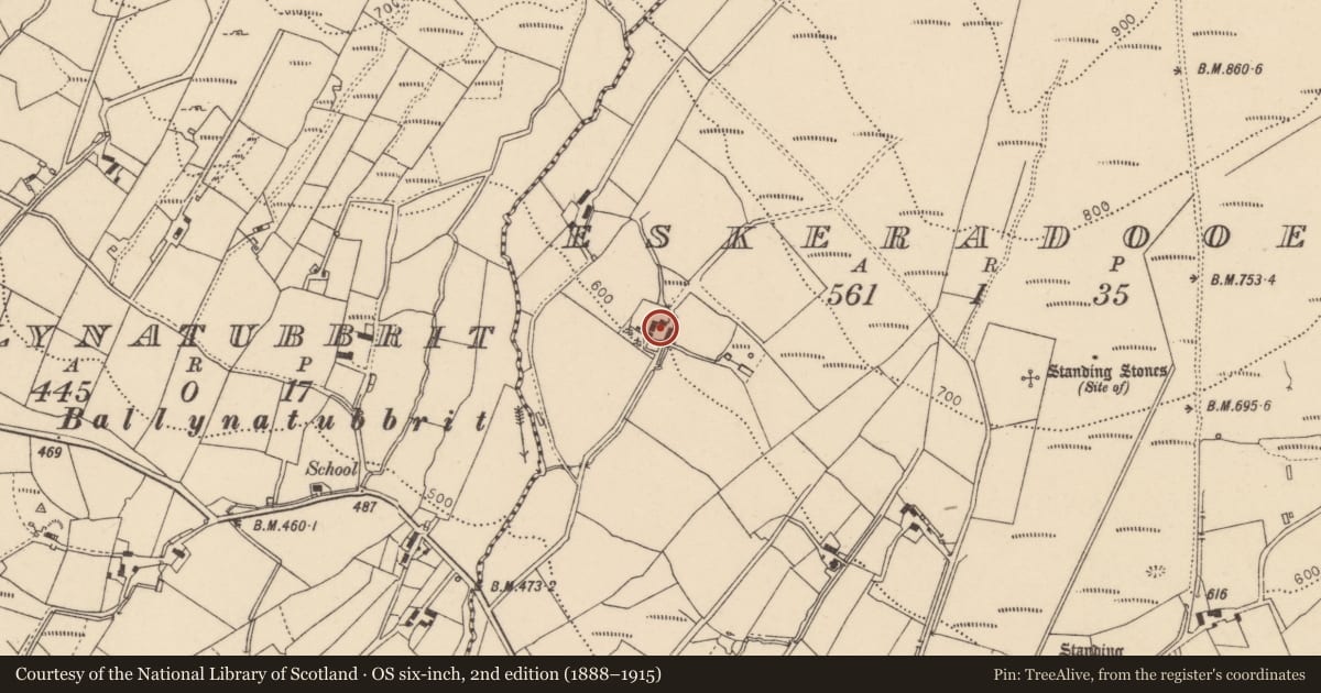 Ordnance Survey six-inch map, 2nd edition (1888–1915) covering the location of Lisnaharney Road, Eskradooey, Fermanagh and Omagh, with a pin at the register's coordinates