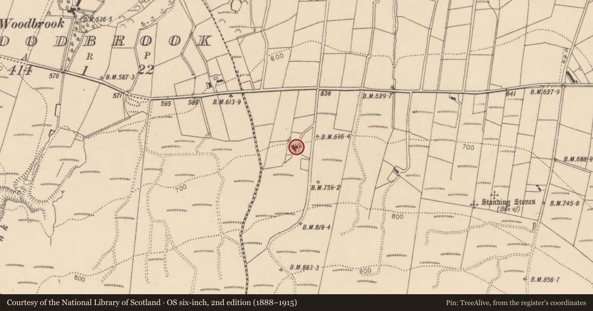 Ordnance Survey six-inch map, 2nd edition (1888–1915) covering the location of Liscabble Road, Dunbunrawer, Fermanagh and Omagh, with a pin at the register's coordinates