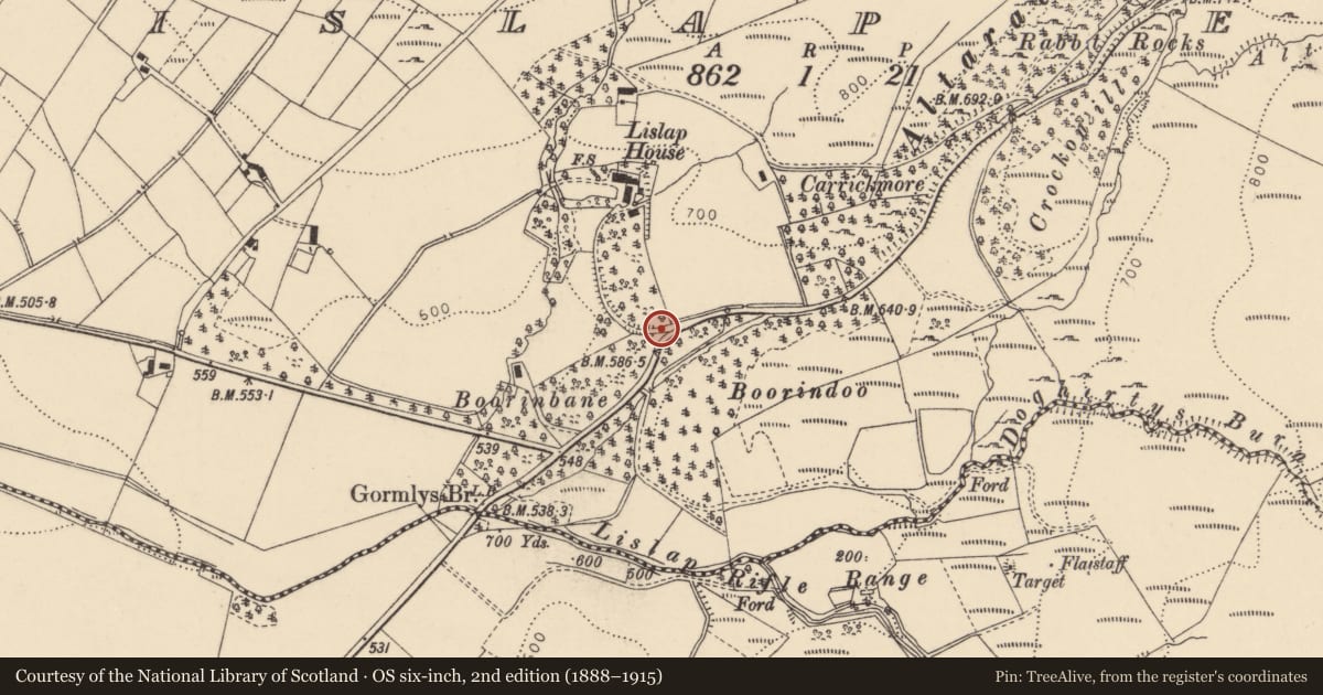 Ordnance Survey six-inch map, 2nd edition (1888–1915) covering the location of 164 Glenpark Road, Lislap East, Fermanagh and Omagh, with a pin at the register's coordinates