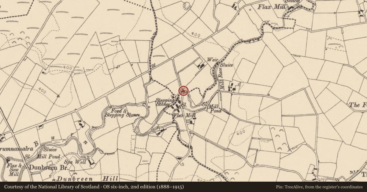 Ordnance Survey six-inch map, 2nd edition (1888–1915) covering the location of Bridge over Cappagh Burn, Castleroddy Glebe, Fermanagh and Omagh, with a pin at the register's coordinates