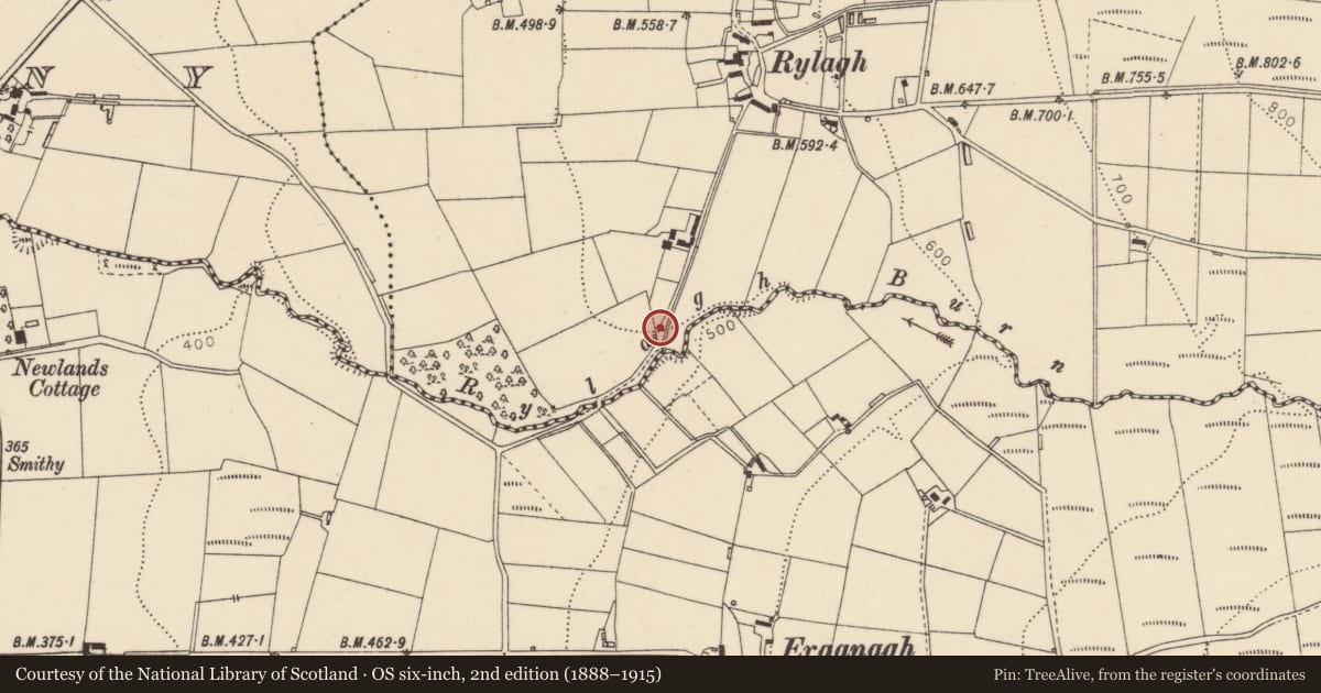 Ordnance Survey six-inch map, 2nd edition (1888–1915) covering the location of Lime Kiln, Rylagh, Fermanagh and Omagh, with a pin at the register's coordinates