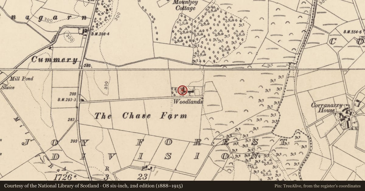 Ordnance Survey six-inch map, 2nd edition (1888–1915) covering the location of The Chase Farm, Mountjoy Forest East Division, Fermanagh and Omagh, with a pin at the register's coordinates