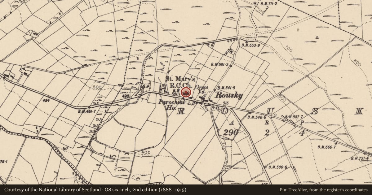 Ordnance Survey six-inch map, 2nd edition (1888–1915) covering the location of St. Mary's Church, Rousky, Fermanagh and Omagh, with a pin at the register's coordinates