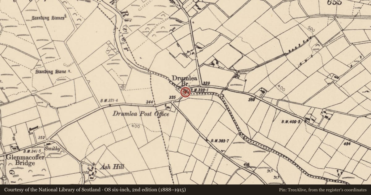 Ordnance Survey six-inch map, 2nd edition (1888–1915) covering the location of Drumlea Bridge, Drumlea/Fallagh Lower, Fermanagh and Omagh, with a pin at the register's coordinates