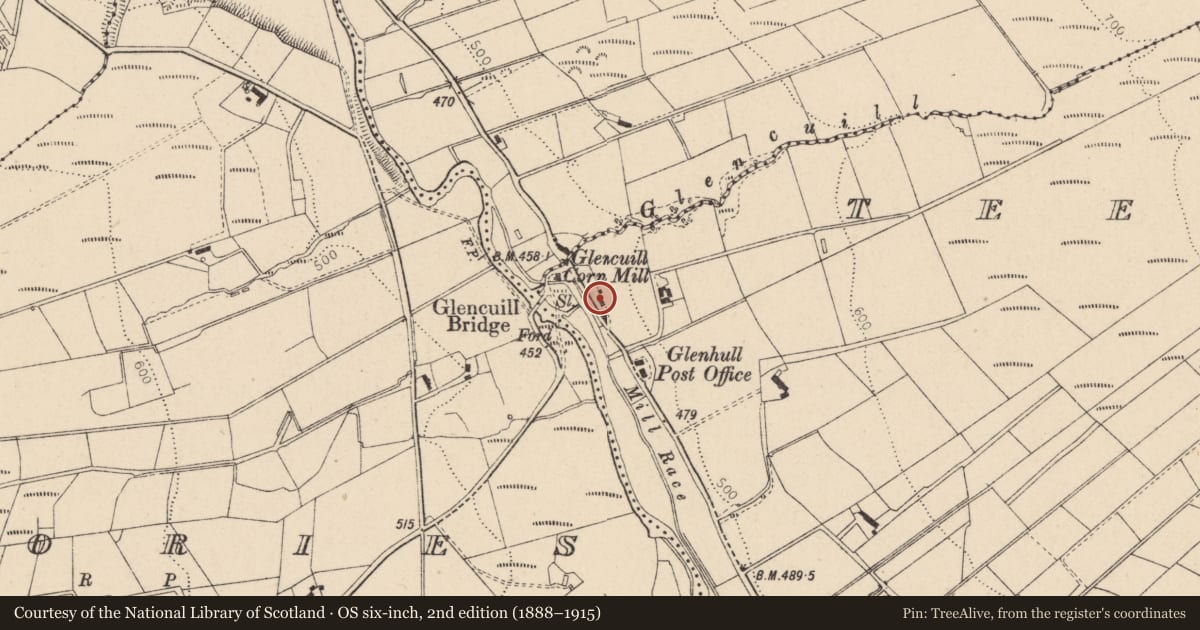 Ordnance Survey six-inch map, 2nd edition (1888–1915) covering the location of 208 Gorticashel Road, Teebane East, Fermanagh and Omagh, with a pin at the register's coordinates