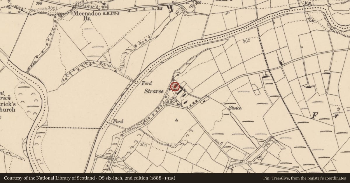 Ordnance Survey six-inch map, 2nd edition (1888–1915) covering the location of Stranree, Fermanagh and Omagh, with a pin at the register's coordinates